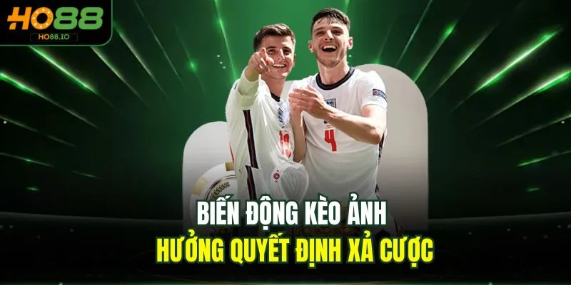 Biến động kèo ảnh hưởng quyết định xả cược