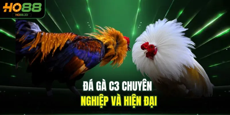 Đá gà C3 chuyên nghiệp và hiện đại