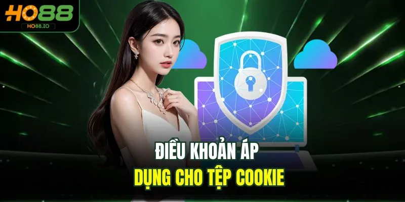 Điều khoản áp dụng cho tệp cookie