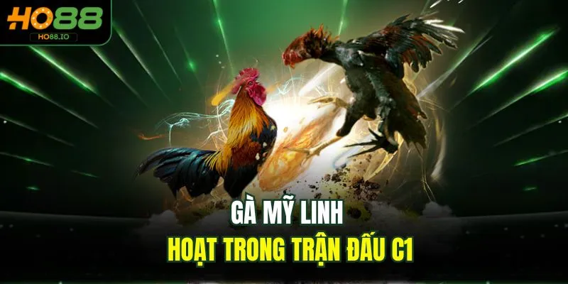 Gà Mỹ linh hoạt trong trận đấu C1