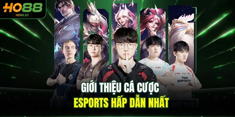 Giới thiệu cá cược Esports hấp dẫn nhất