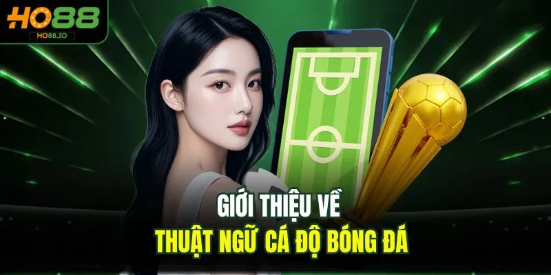 Giới thiệu về thuật ngữ cá độ bóng đá