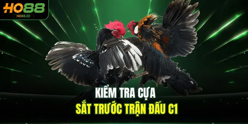 Kiểm tra cựa sắt trước trận đấu C1