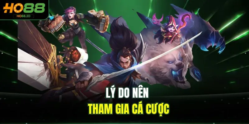 Lý do nên tham gia cá cược