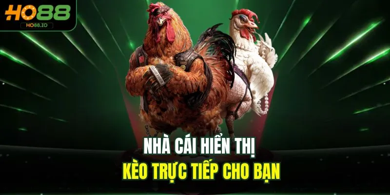 Nhà cái hiển thị kèo trực tiếp cho bạn