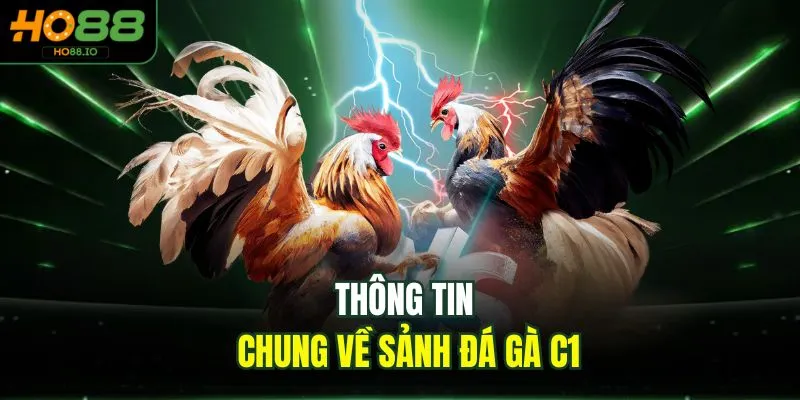 Thông tin chung về sảnh đá gà C1