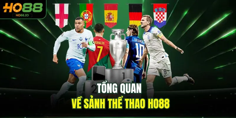 Tổng quan về sảnh thể thao HO88